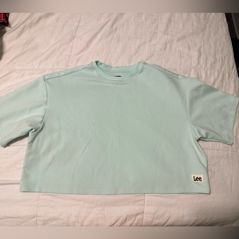 Lee Large Mint Crop Top